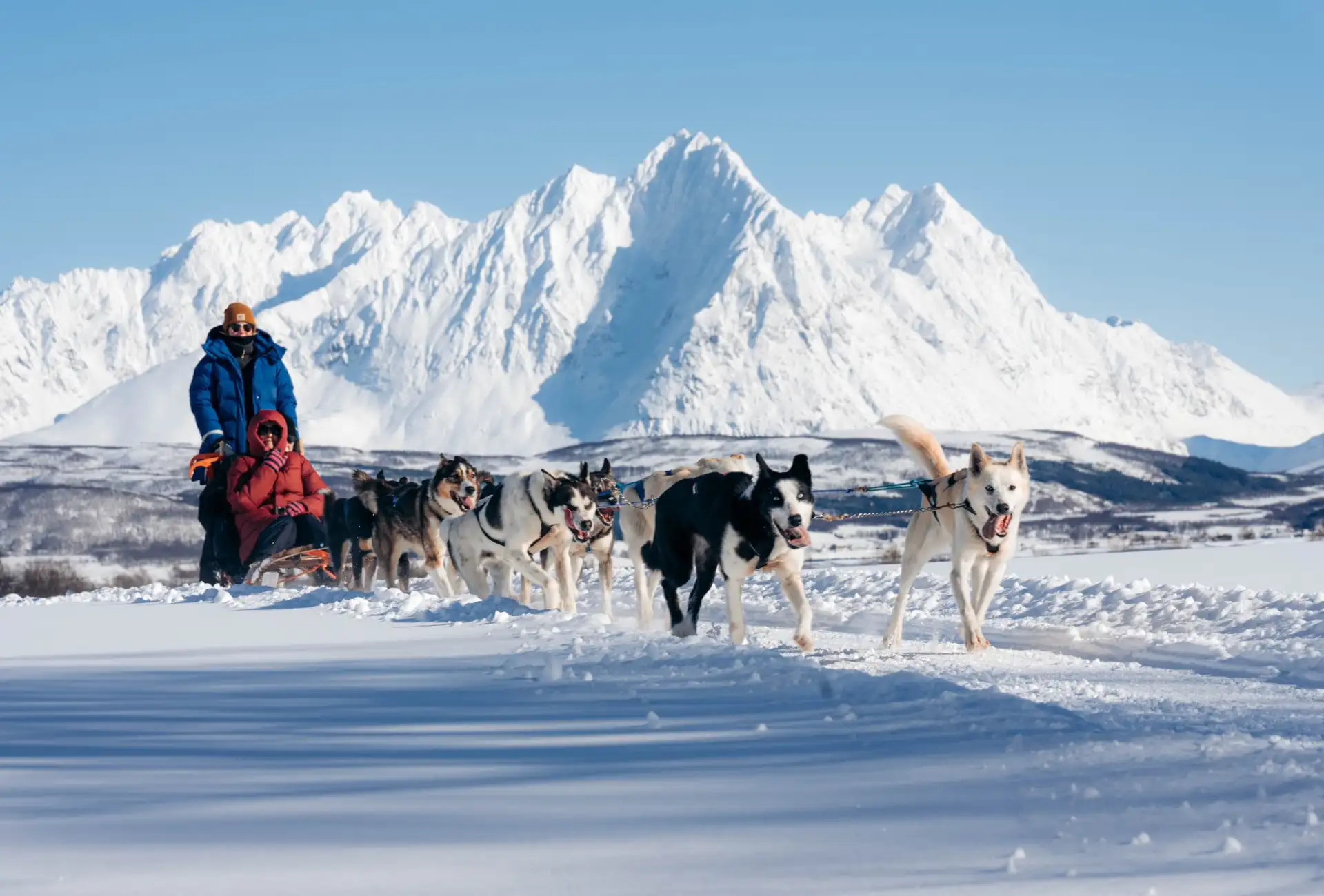Dog Yard Mushing Area