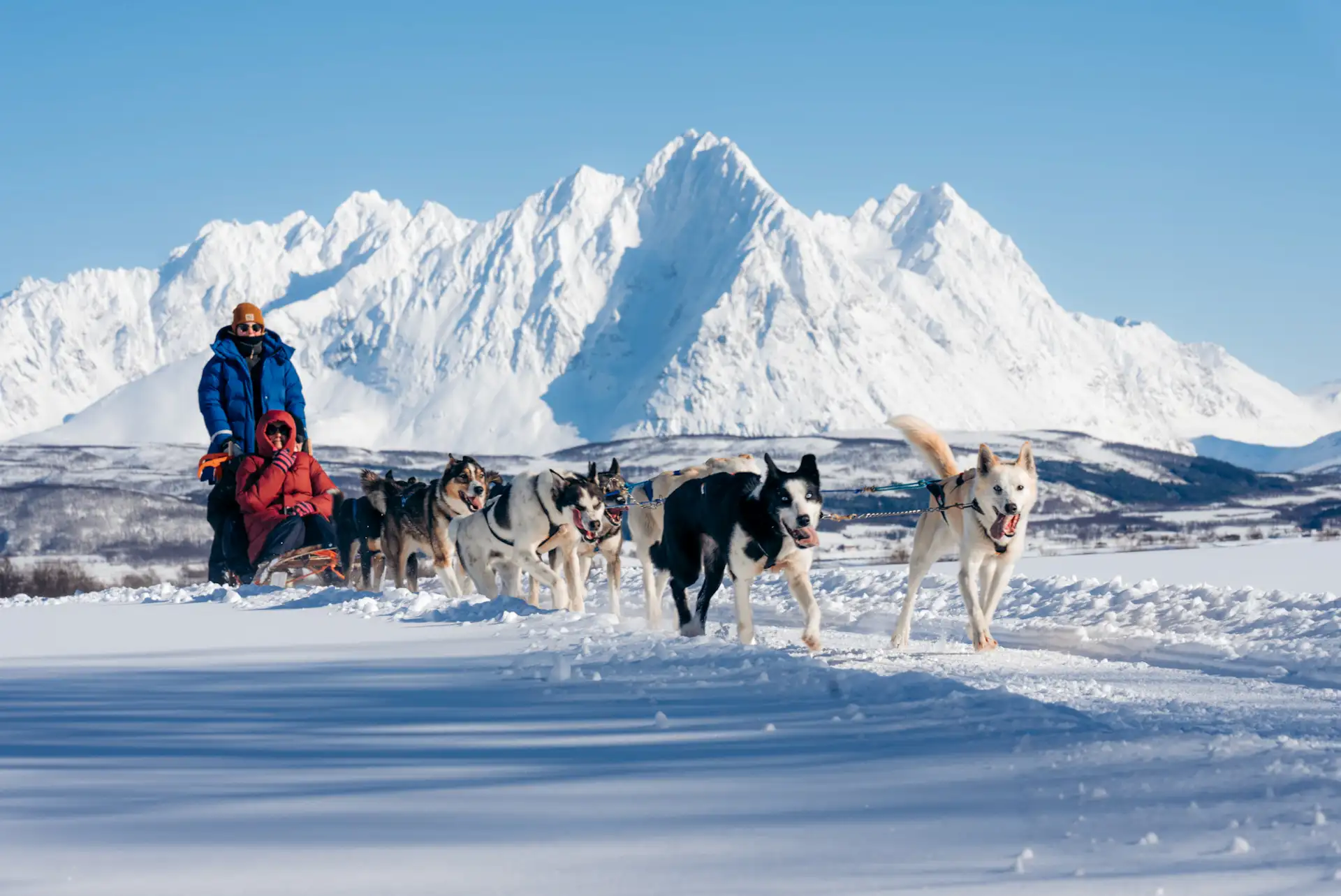 Musher Interaction