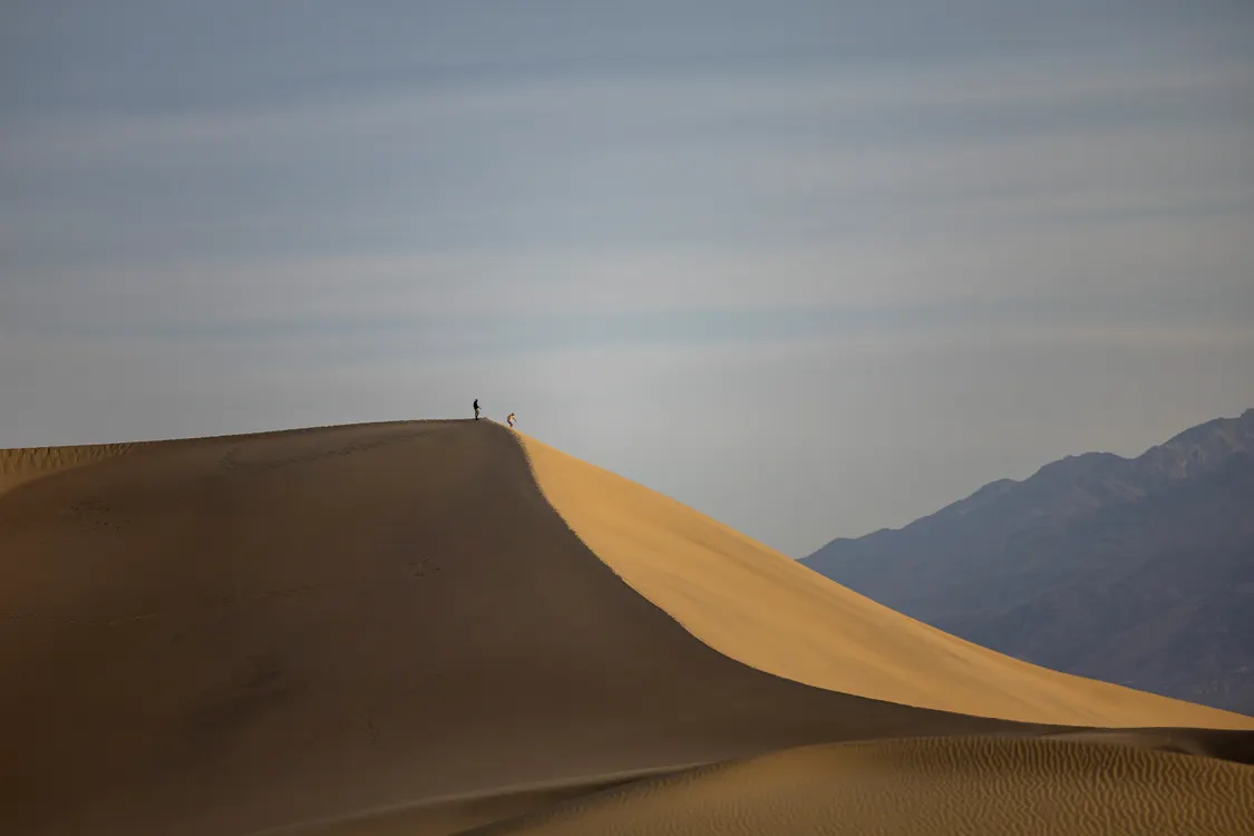 The Ridge Silhouette