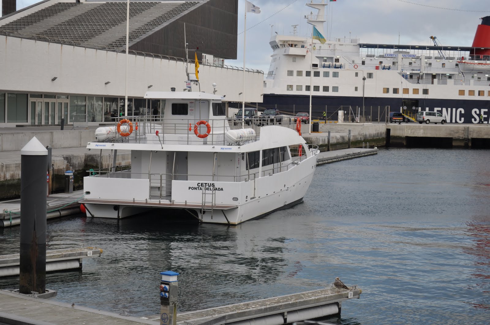 Catamaran Cetus