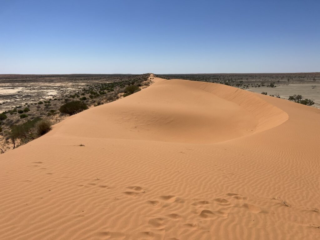 Central Dune Crest