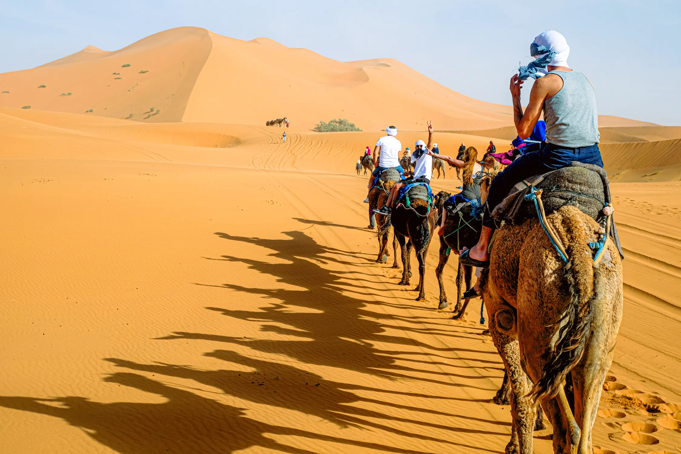 Camel Trekking