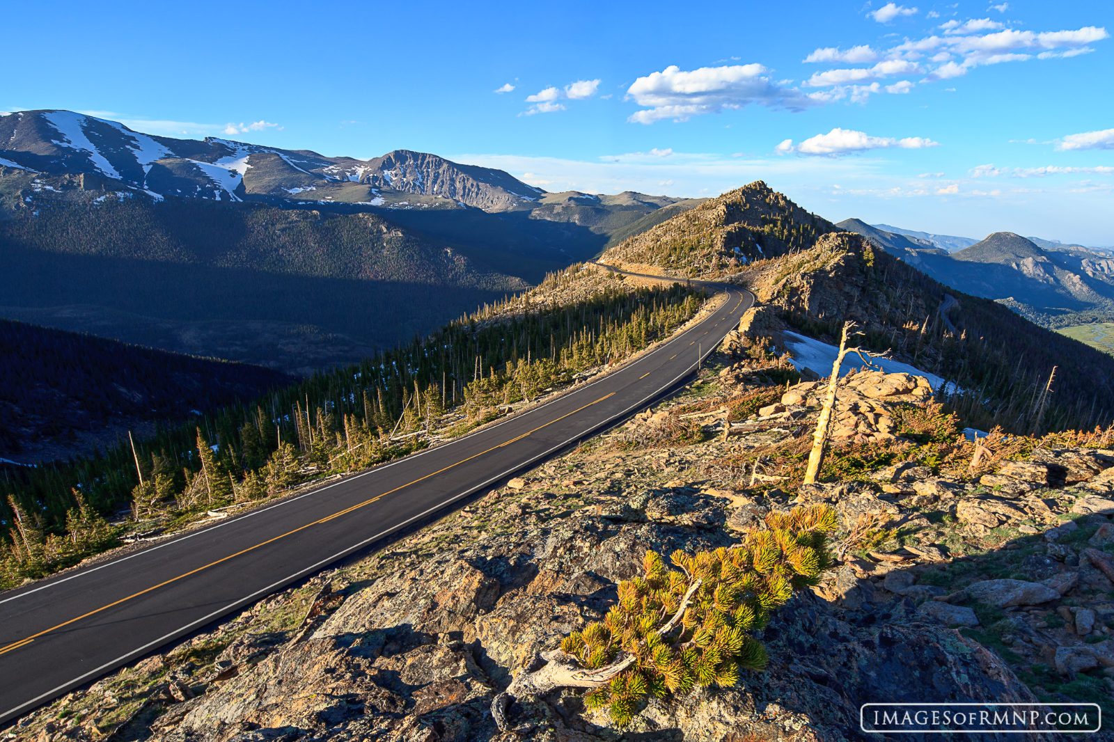 Trail Ridge Road