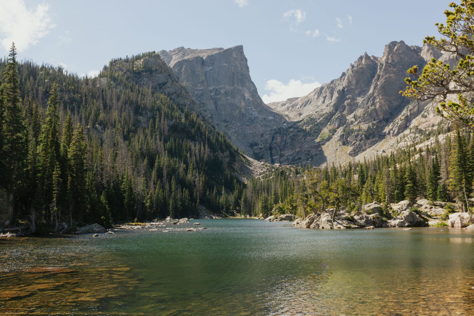 Rocky Mountain National Park Bus Tour From Denver