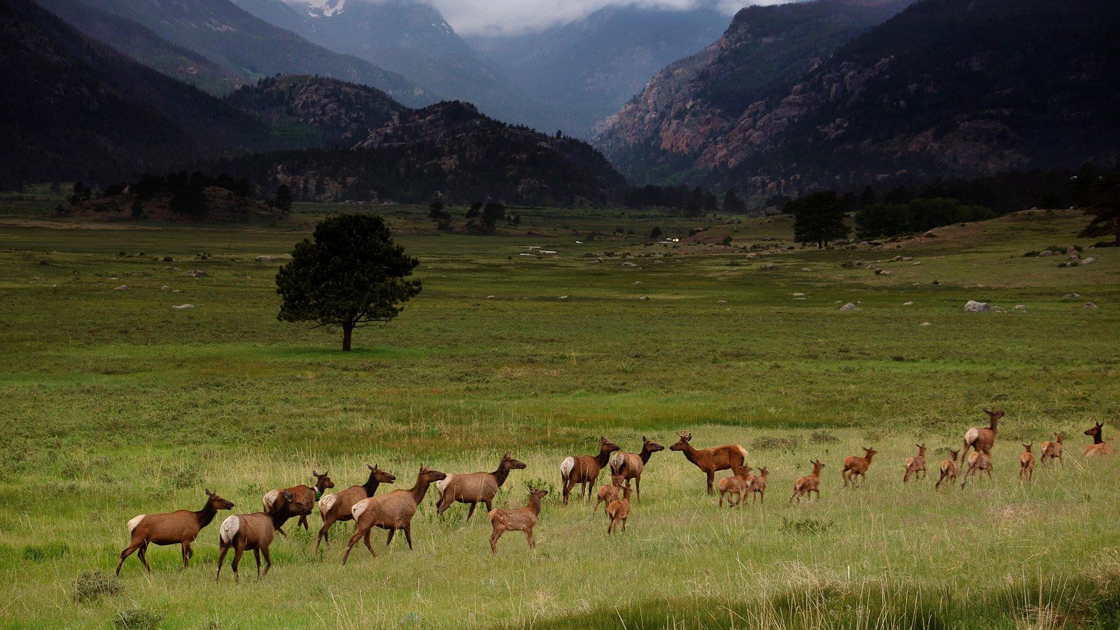 Moraine Park