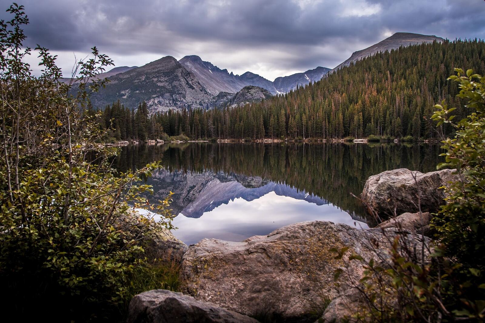 Rocky Mountain National Park Day Tour From Denver