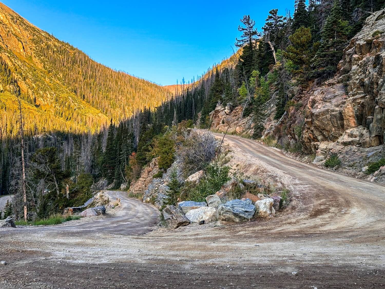 Old Fall River Road