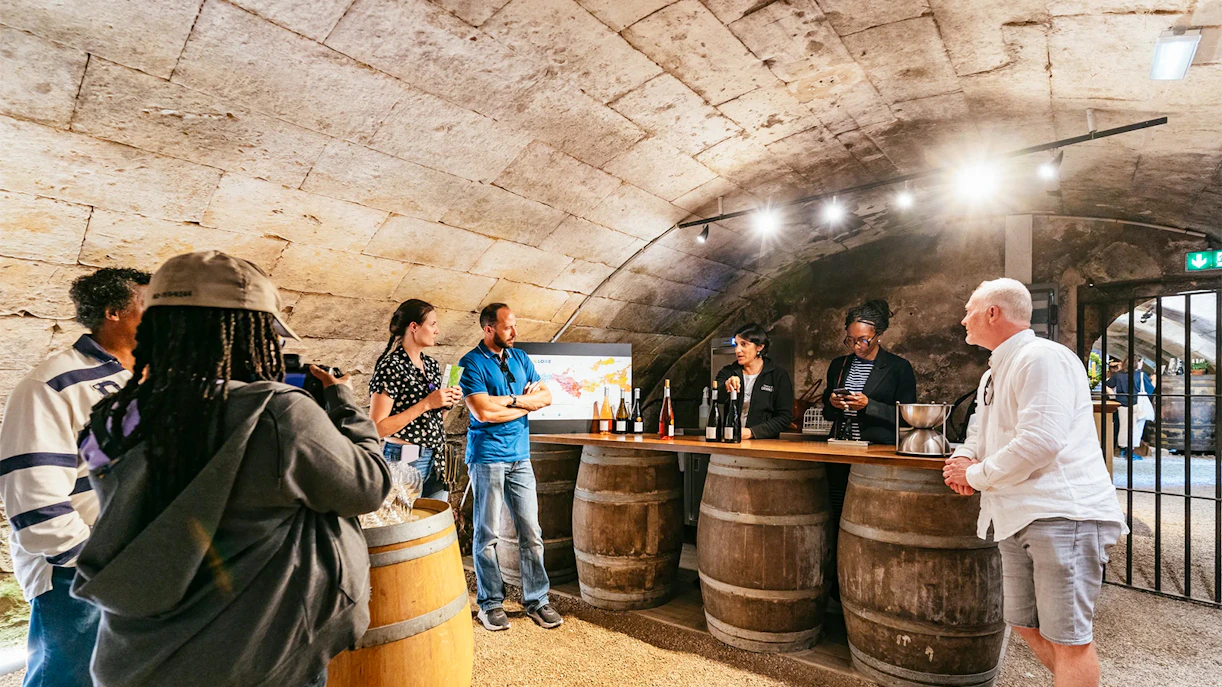 Wine Tour From Paris to Bordeaux