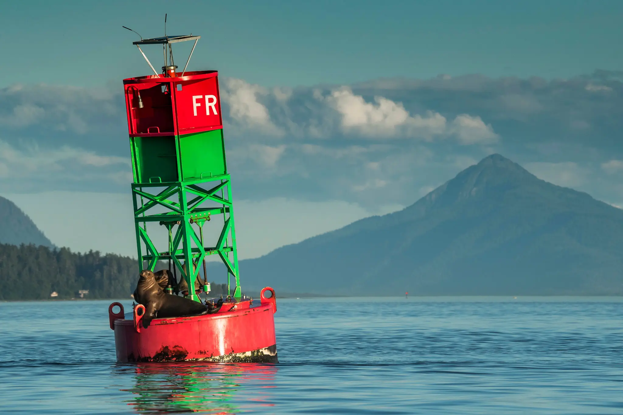 Faust Rock Buoy