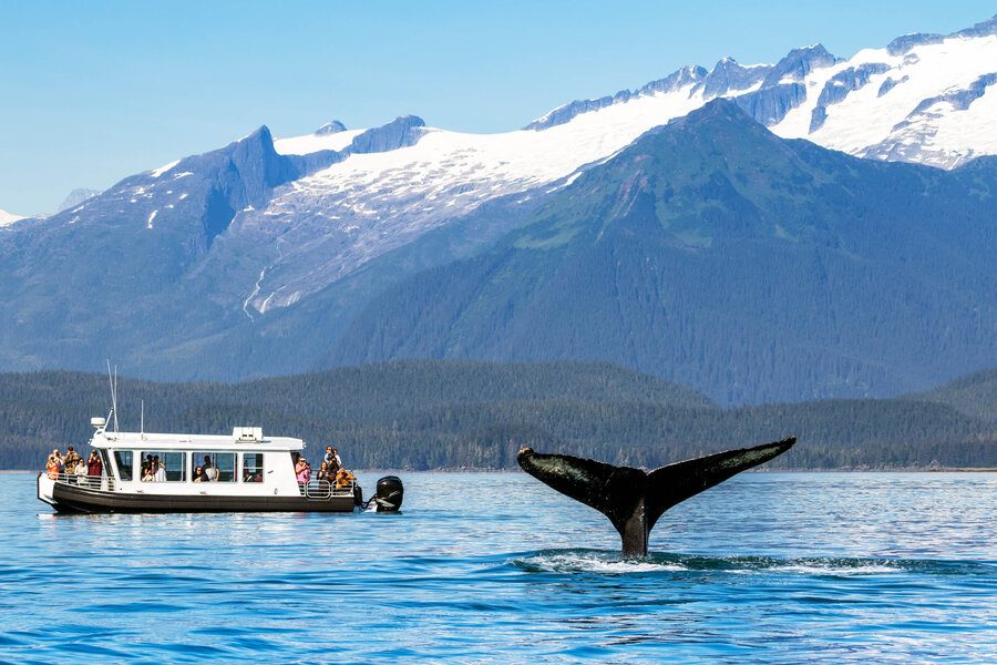 Juneau Tours and Whale Watch Cabin