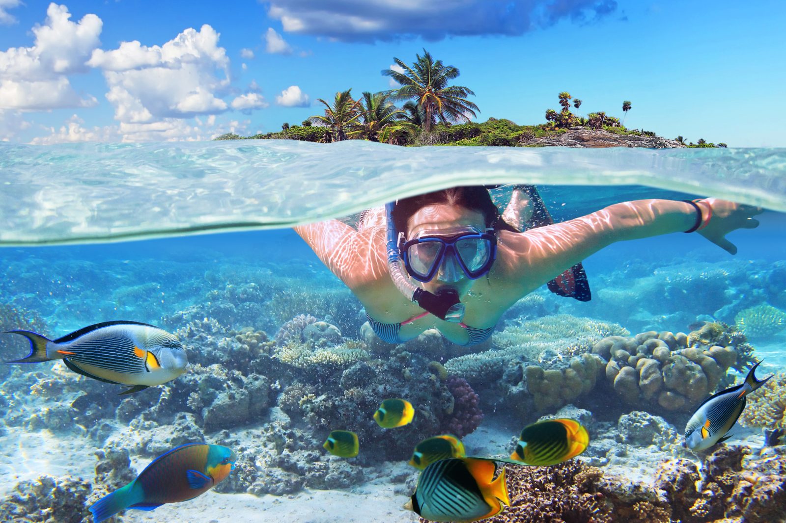 Reef Exploration Zone