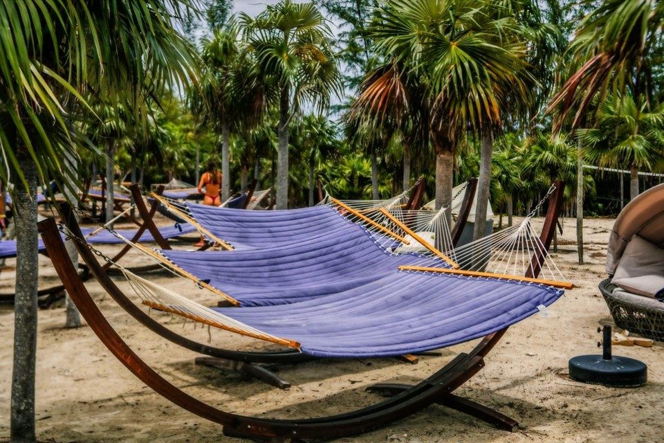 The Shoreline Hammocks