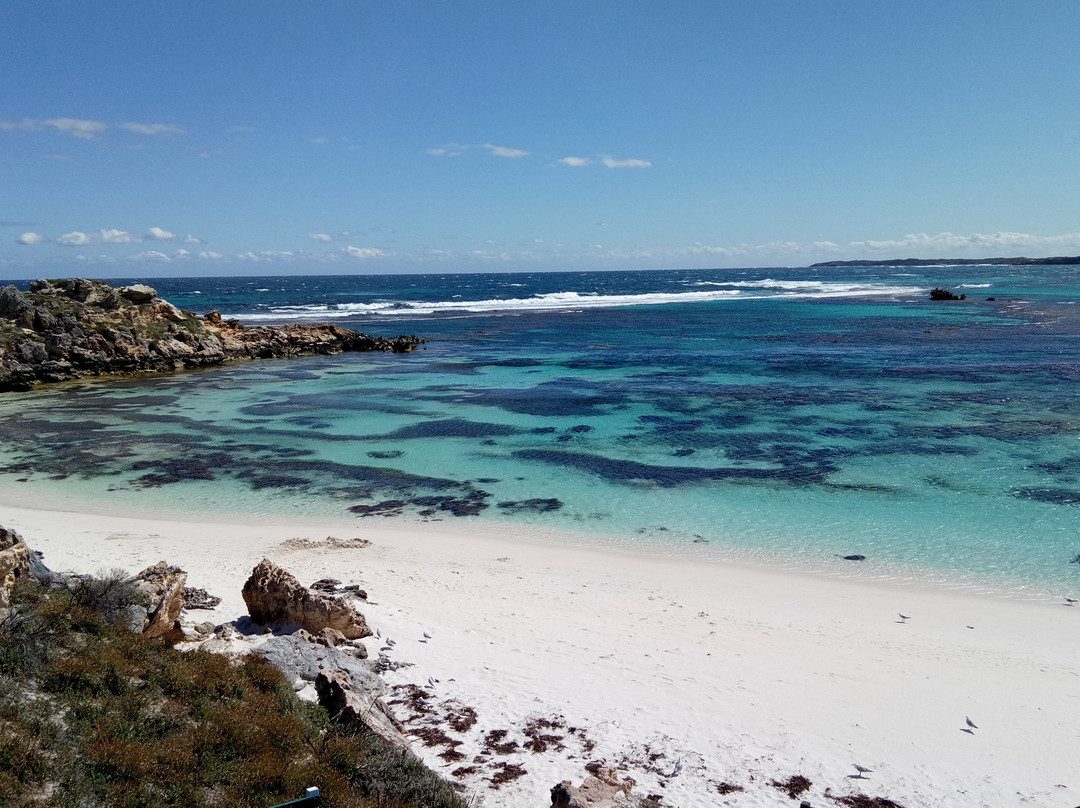 Salmon Bay