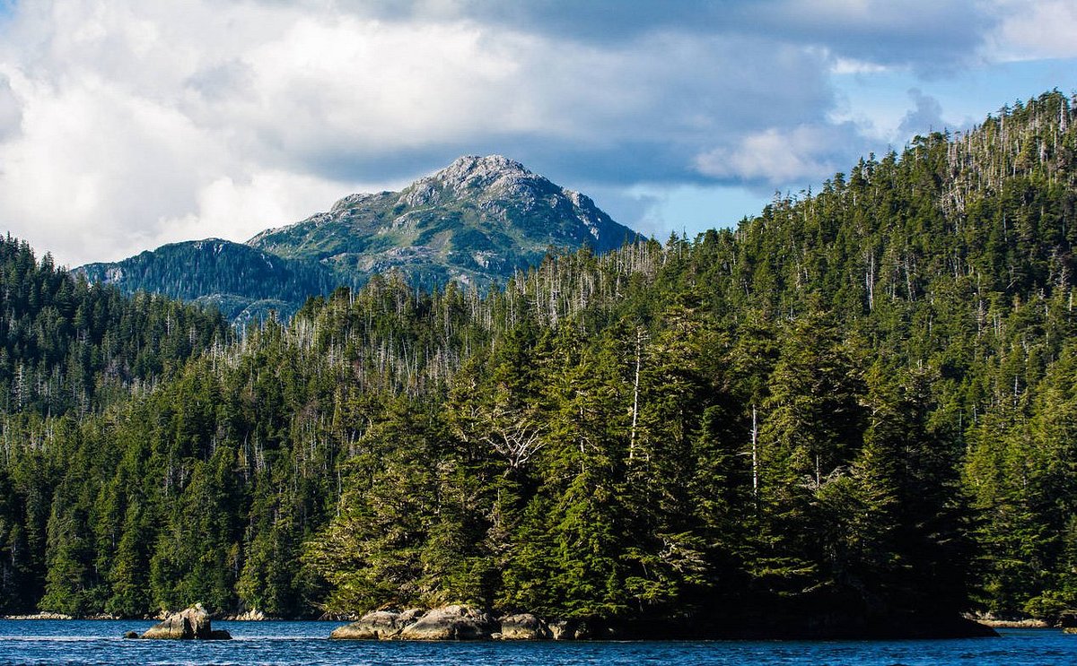 Scenic Transfer to Auke Bay