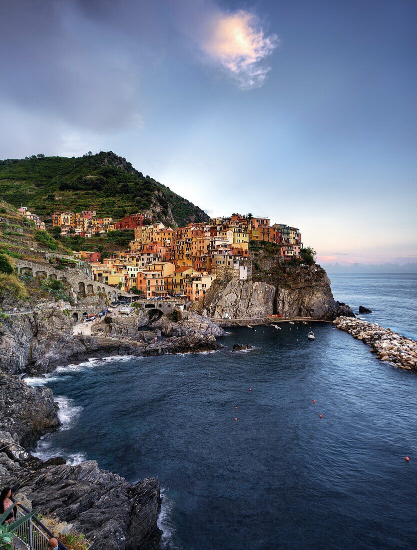 Manarola Harbor