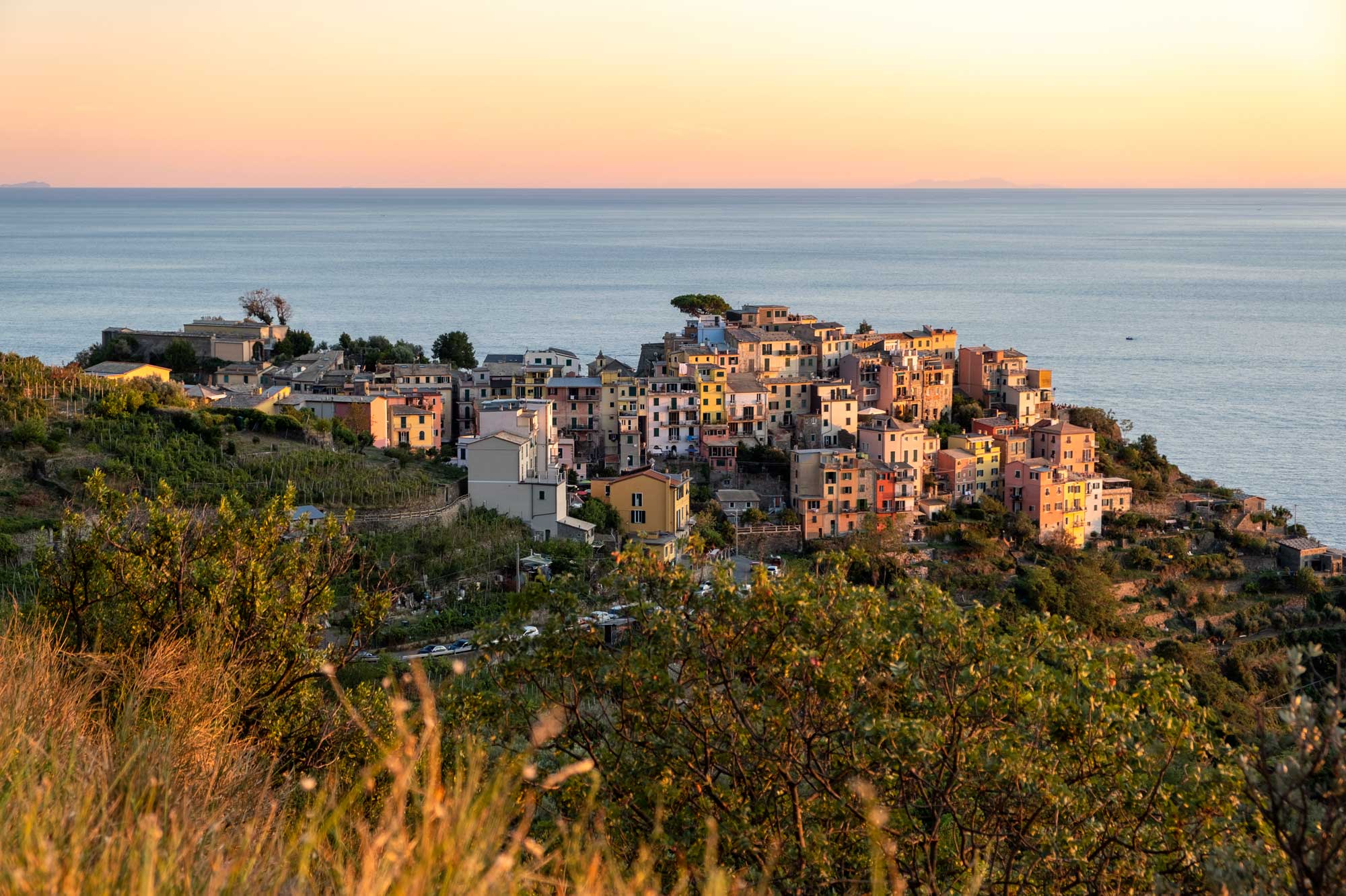 Corniglia Viewing Terrace