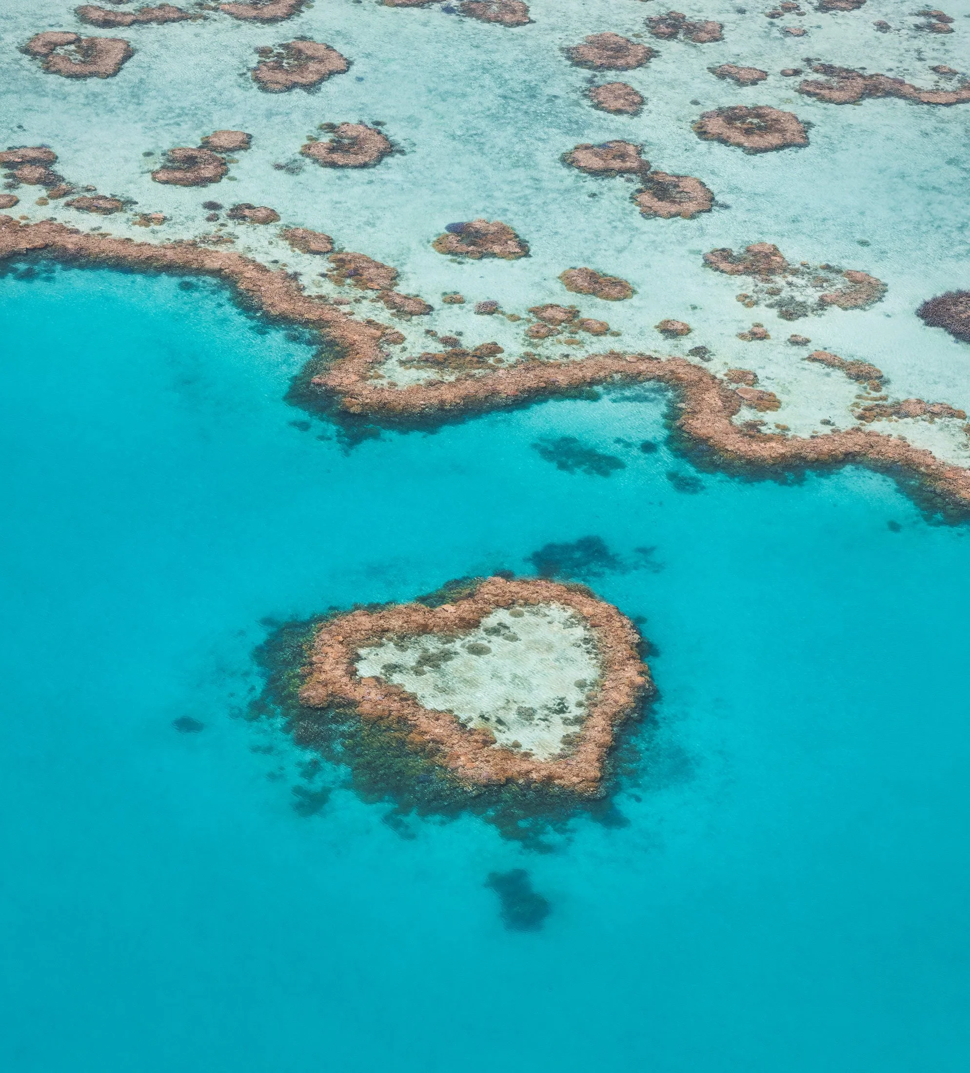 Heart Reef Observation