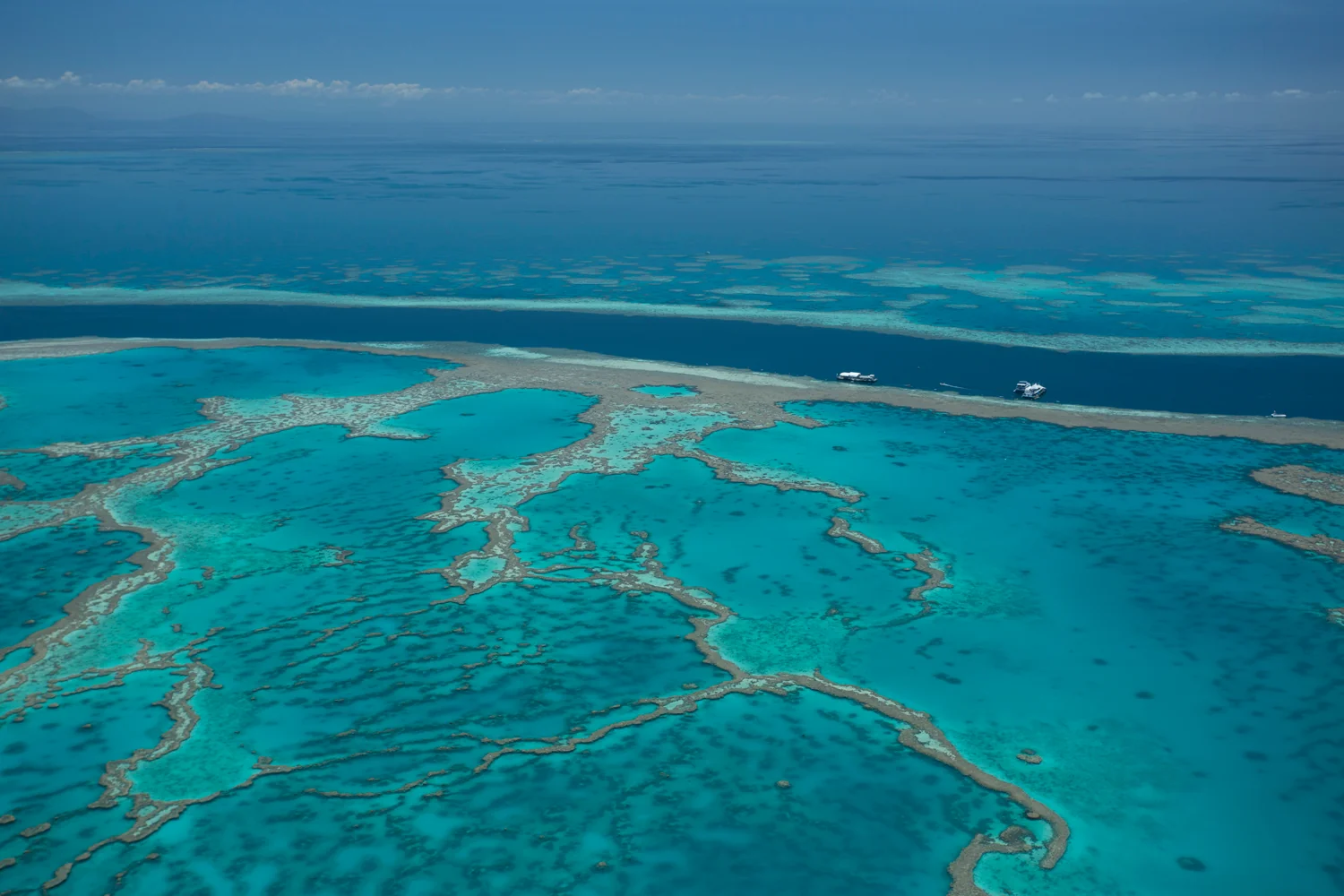 Hardy Reef