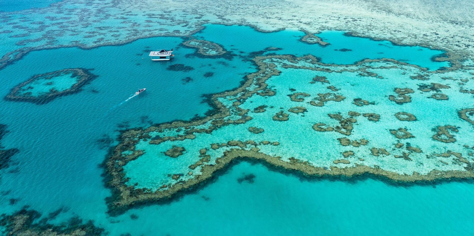 Hardy Reef