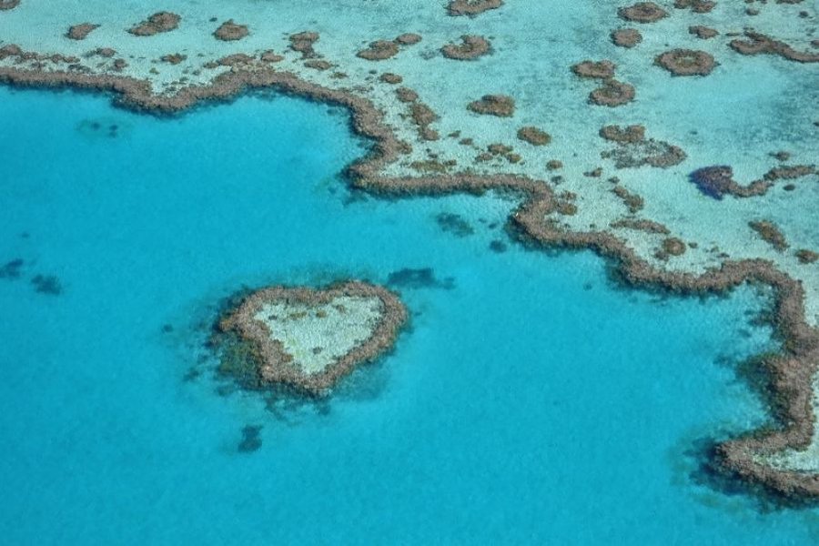 Heart Reef