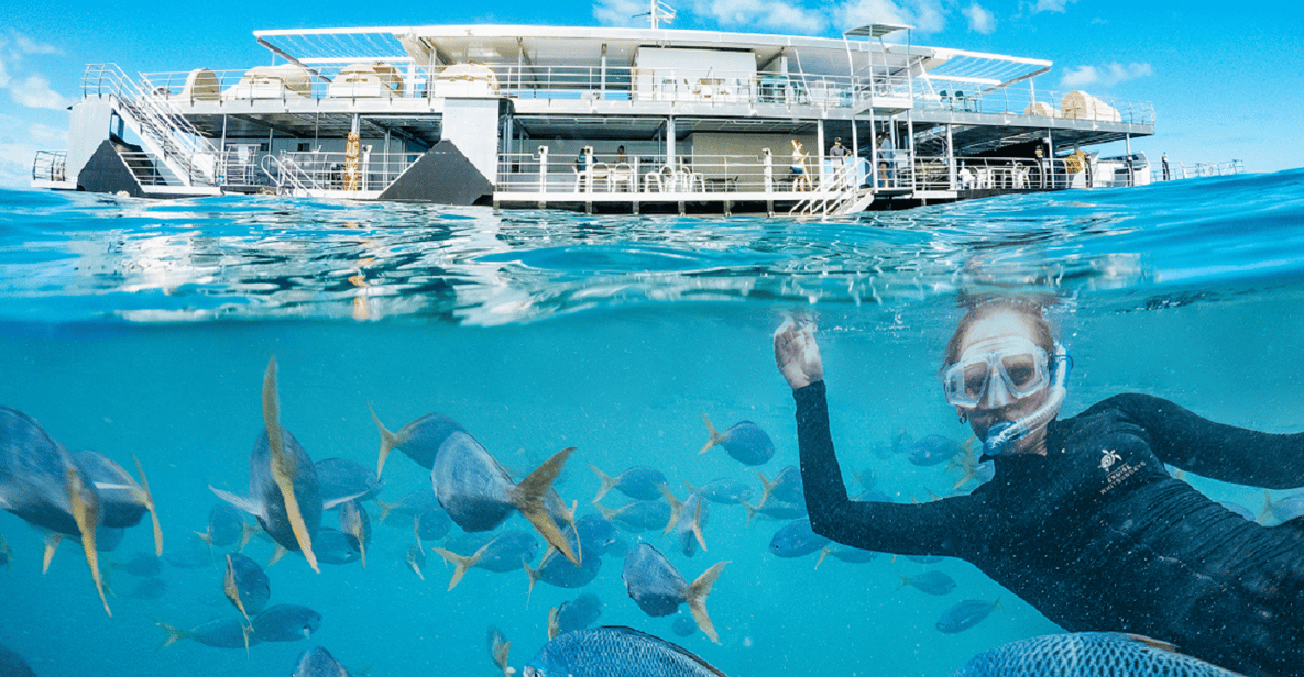Reefworld Pontoon