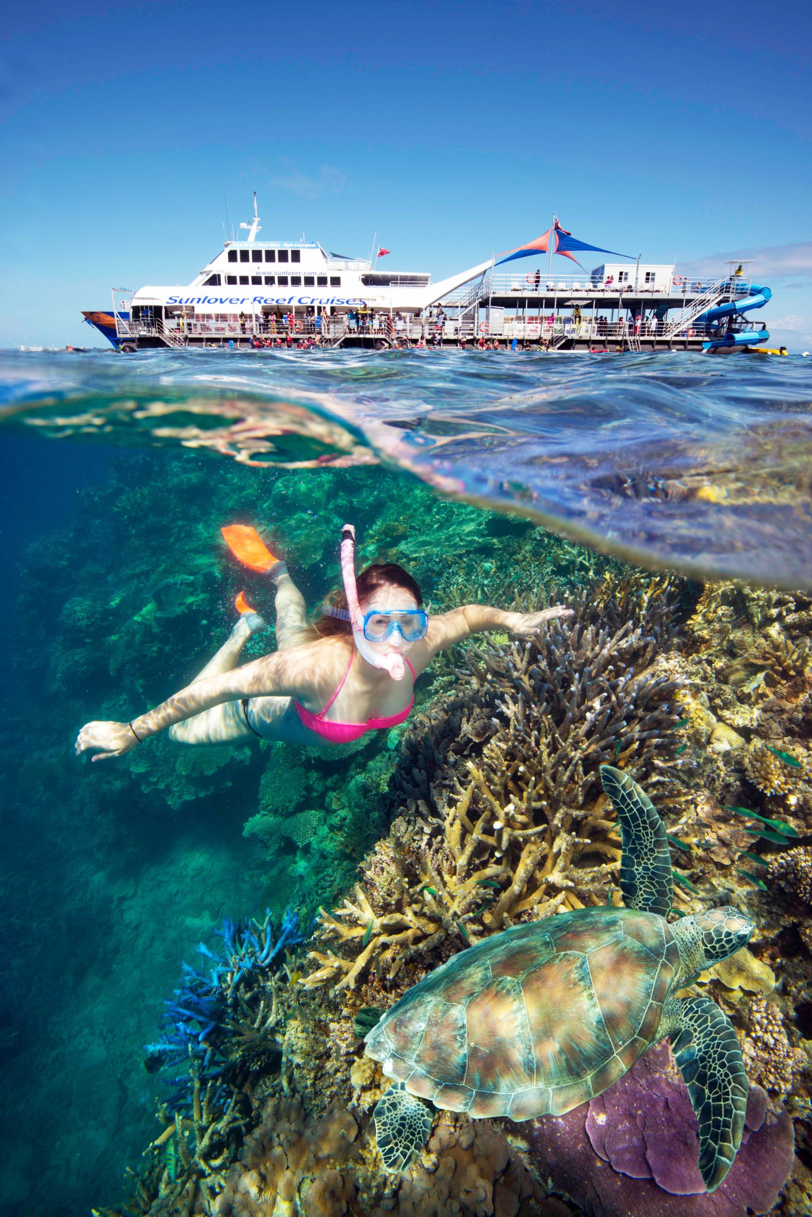 Great Barrier Reef Scenic Helicopter Tour and Cruise From Cairns