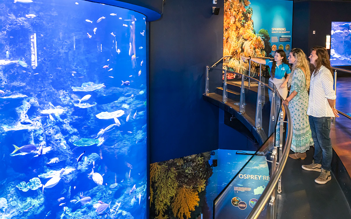 Cairns Aquarium
