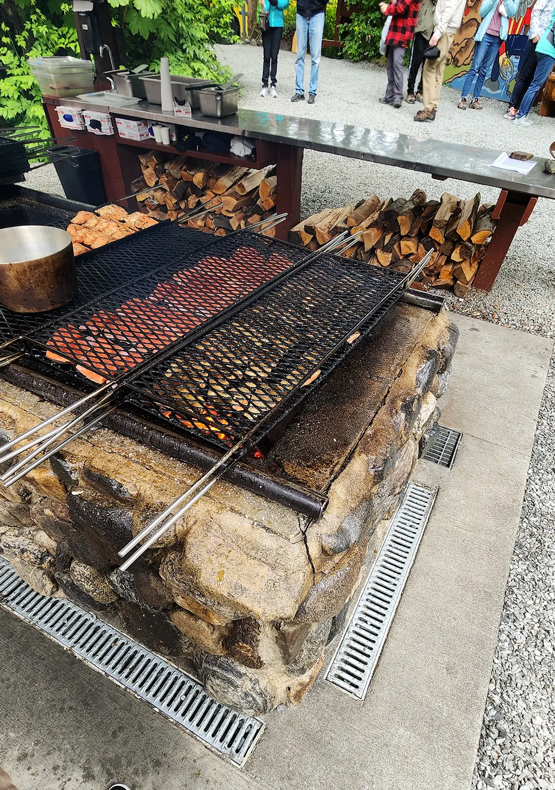 Juneau Whale Watching Tour & Salmon Bake Combo