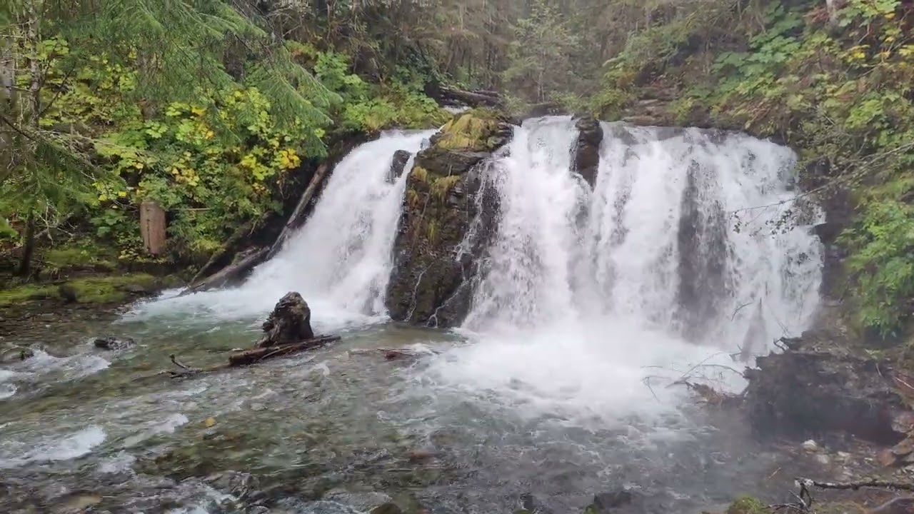 Gold Panning & Creek Walk