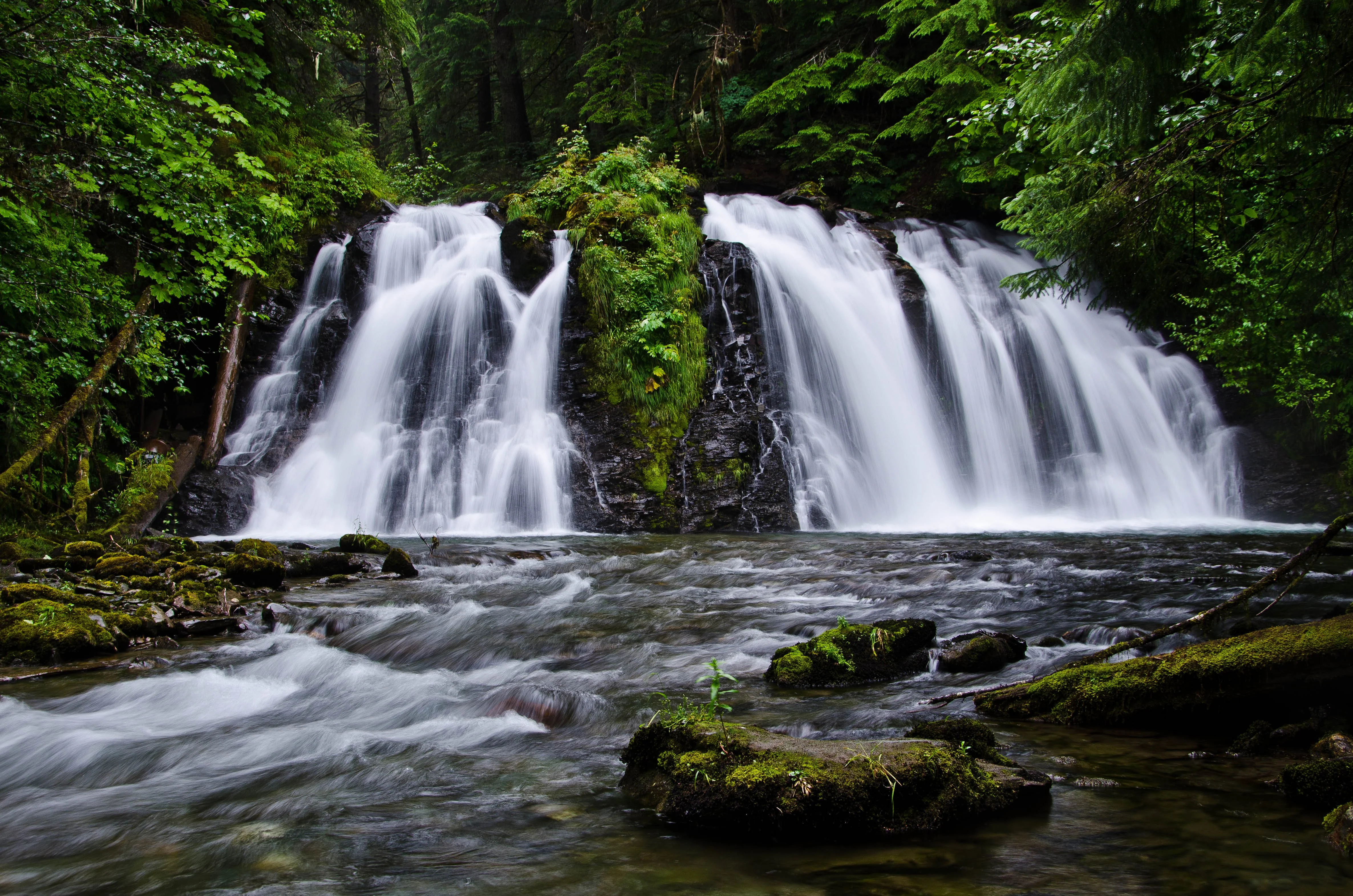 Salmon Creek Falls