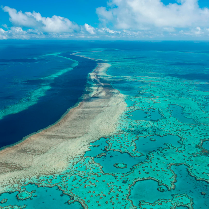 Batt Reef