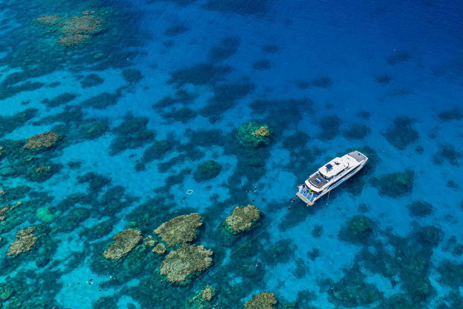 Agincourt Reef Edge