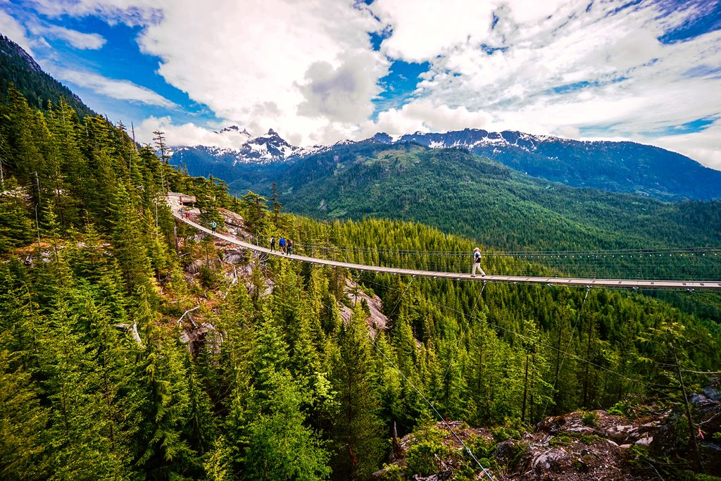 Sky Pilot Suspension Bridge