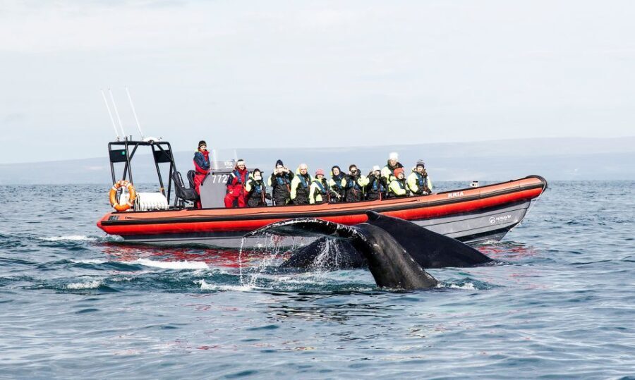 High-speed return to harbor