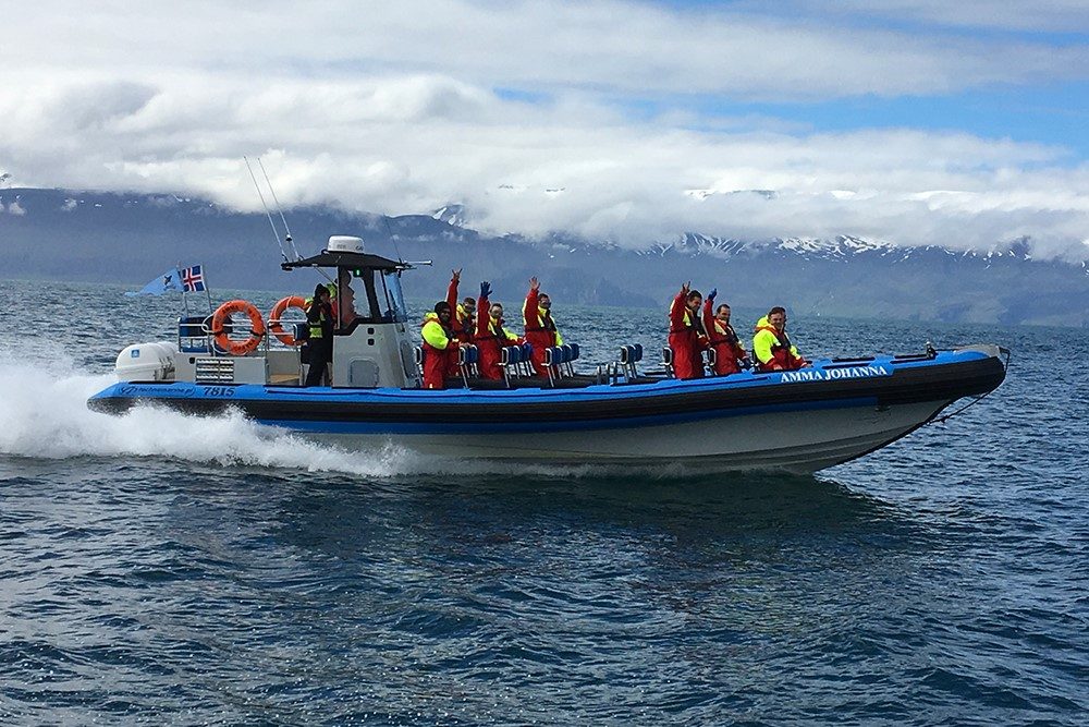 RIB Speedboat Fleet