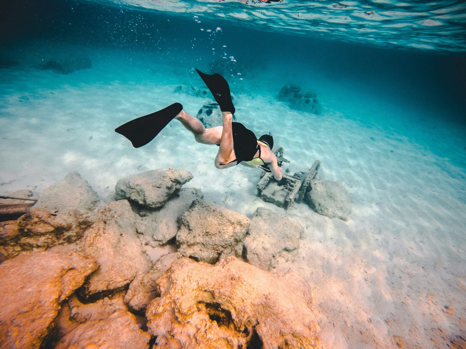 The Reef Wall