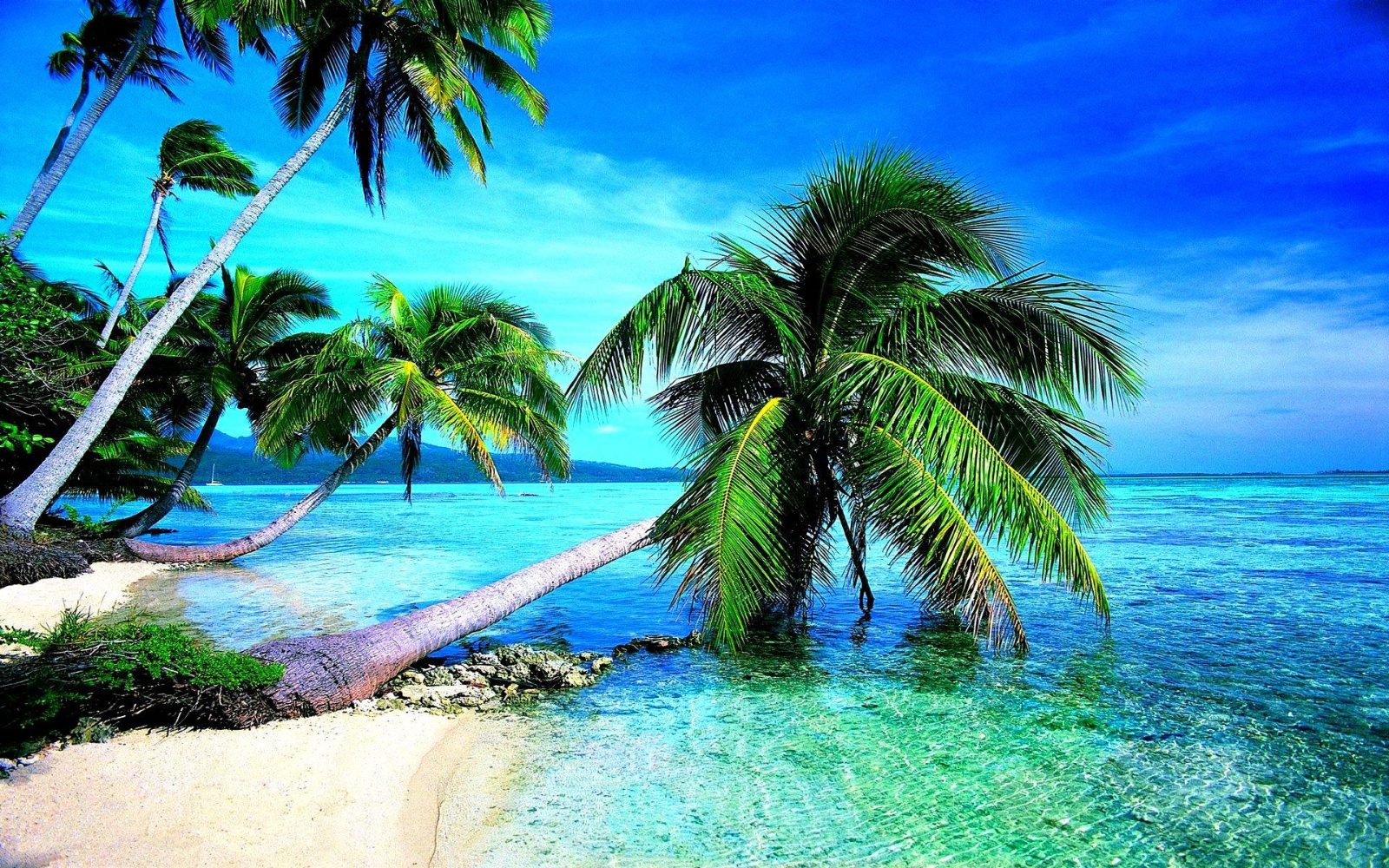 Paradise Island Shallow Shoals