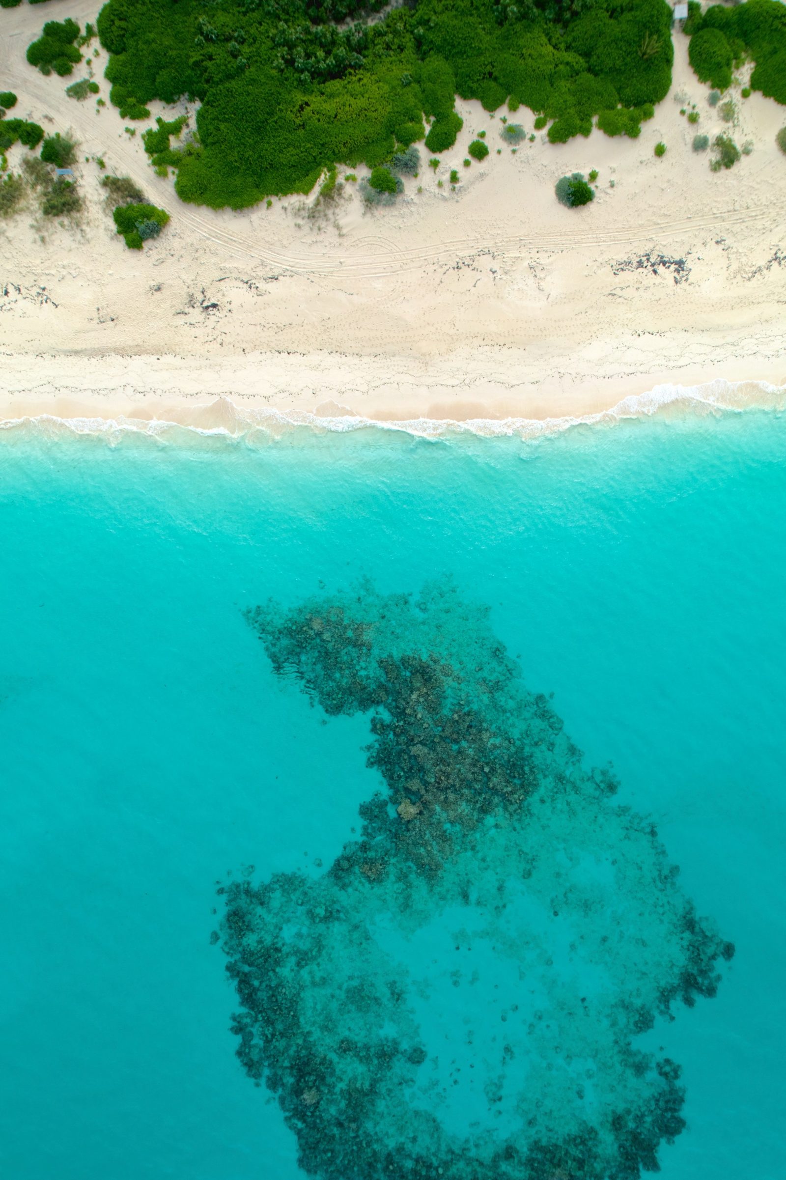Cabbage Beach Shoreline