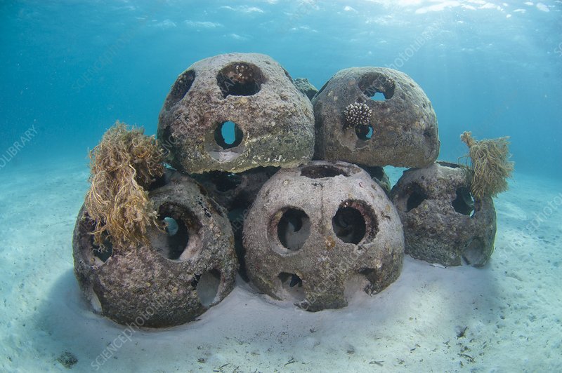 The Reef Ball Array