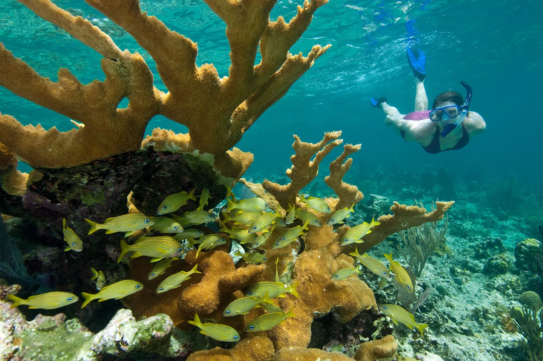 Nassau Bahamas Snorkeling Tours