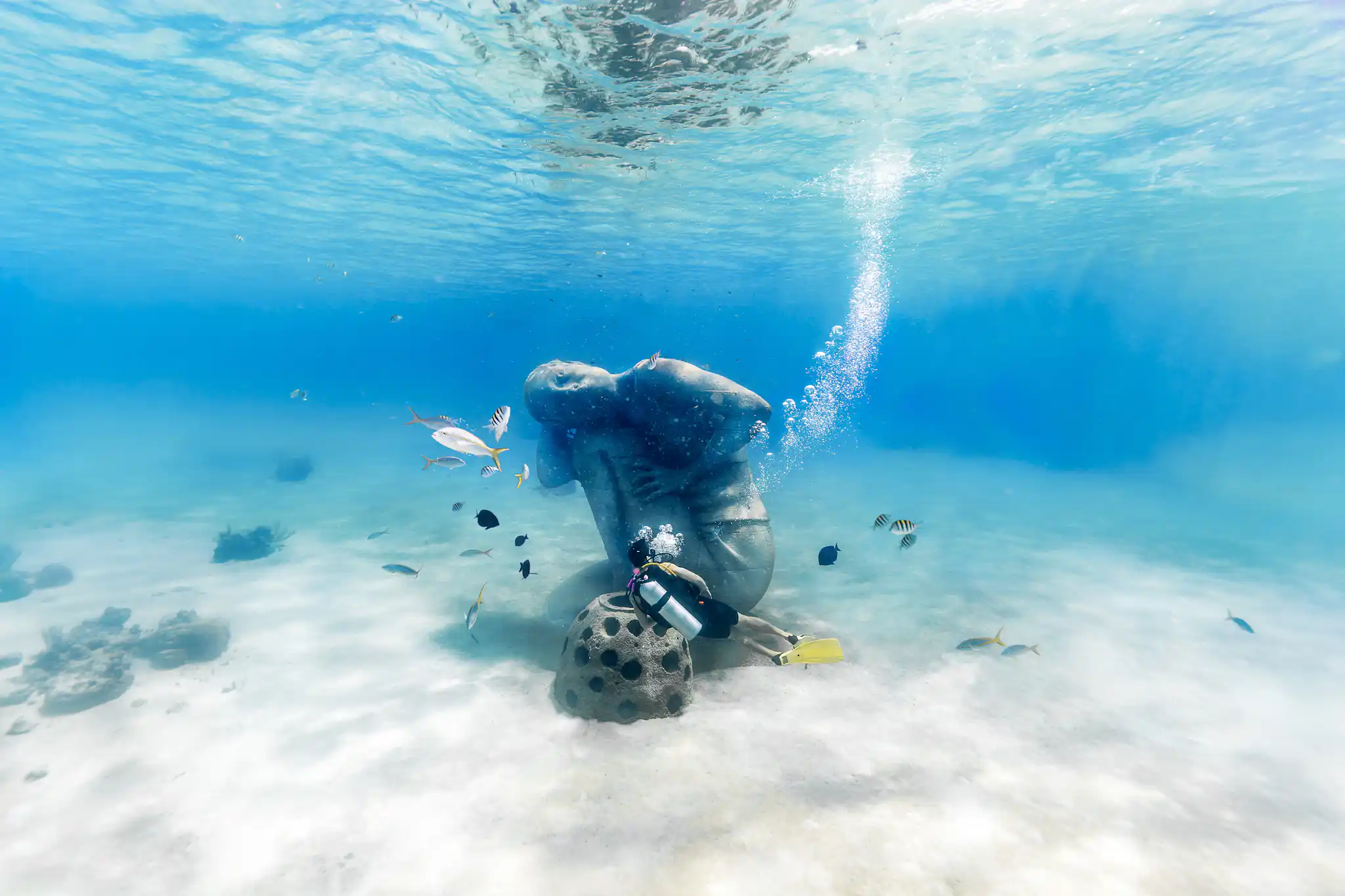Sir Nicholas Nuttall Coral Reef Sculpture Garden