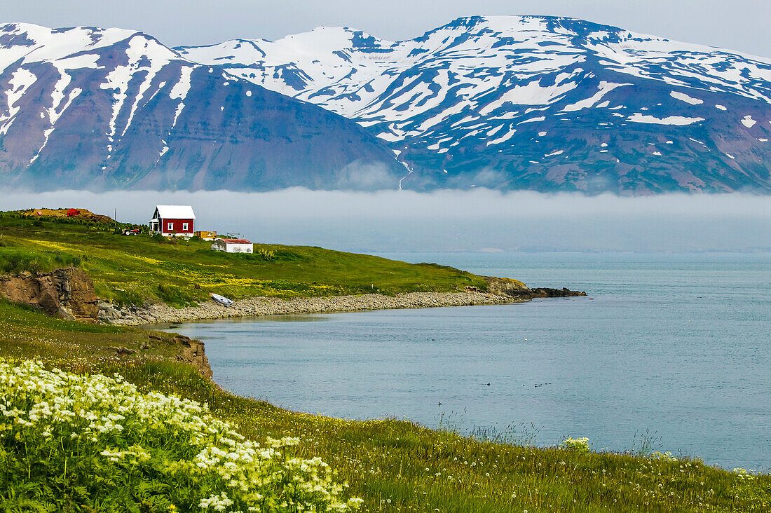 Hrísey Island
