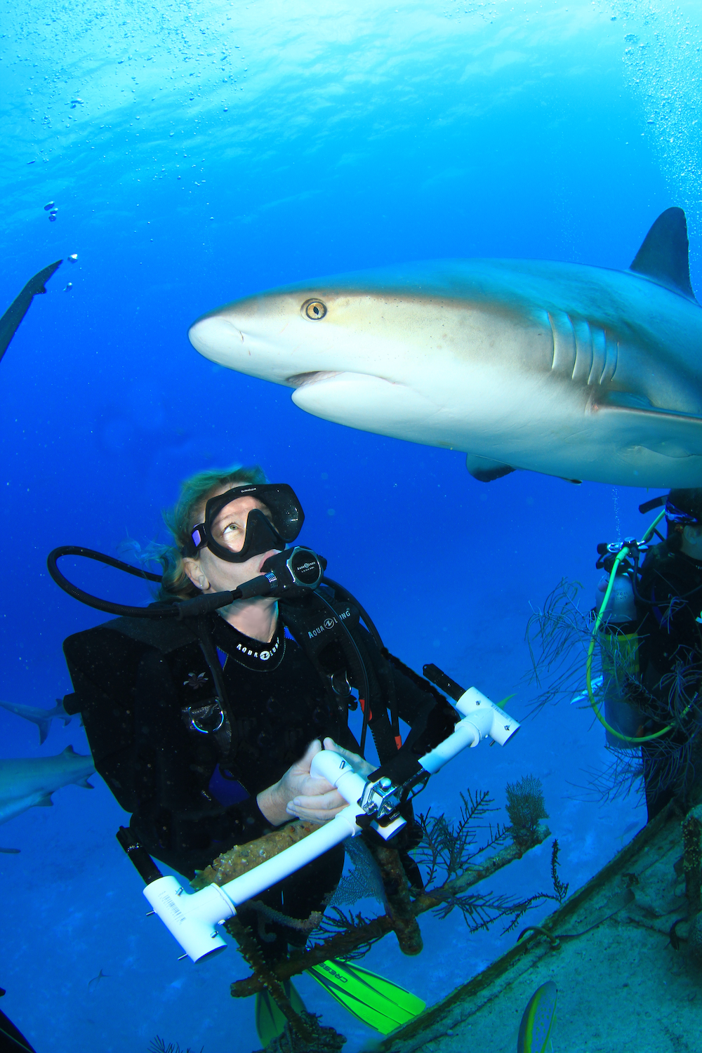 Marine Biologist Briefing