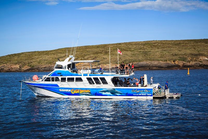 Vessel Upper Deck