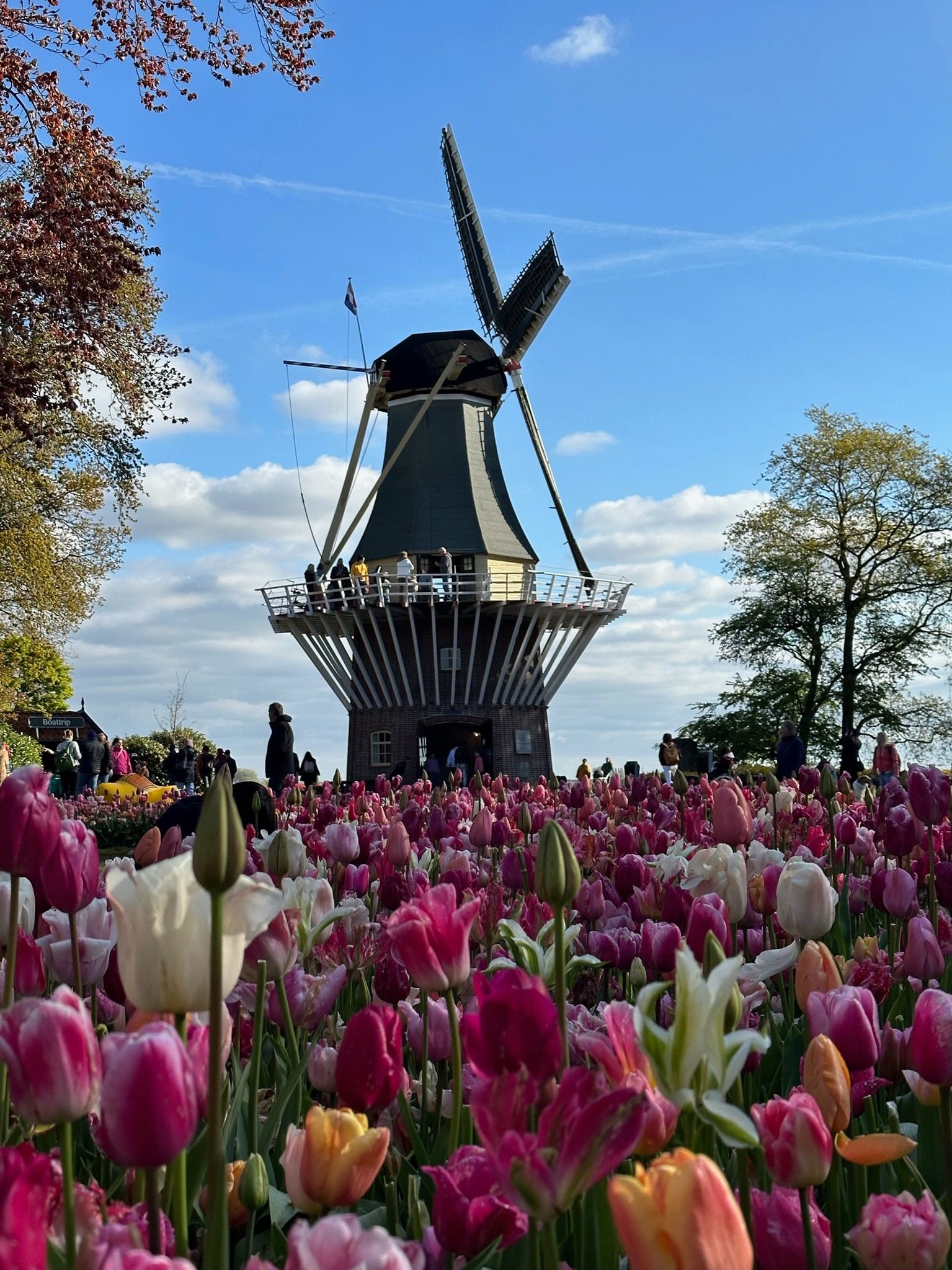 Keukenhof Windmill