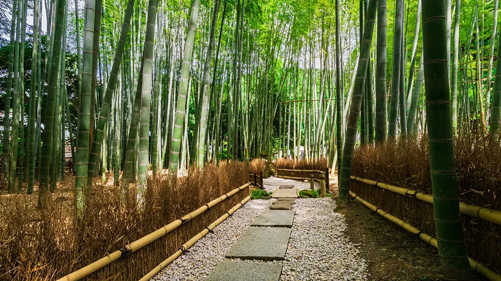 Hokokuji Temple