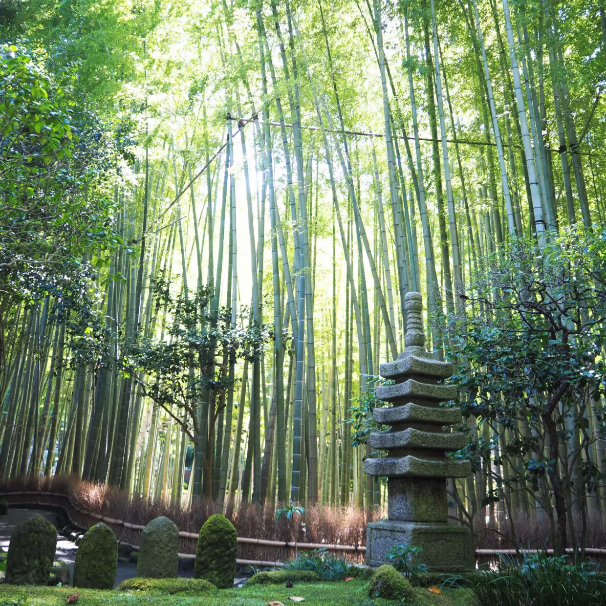 Hokokuji Temple