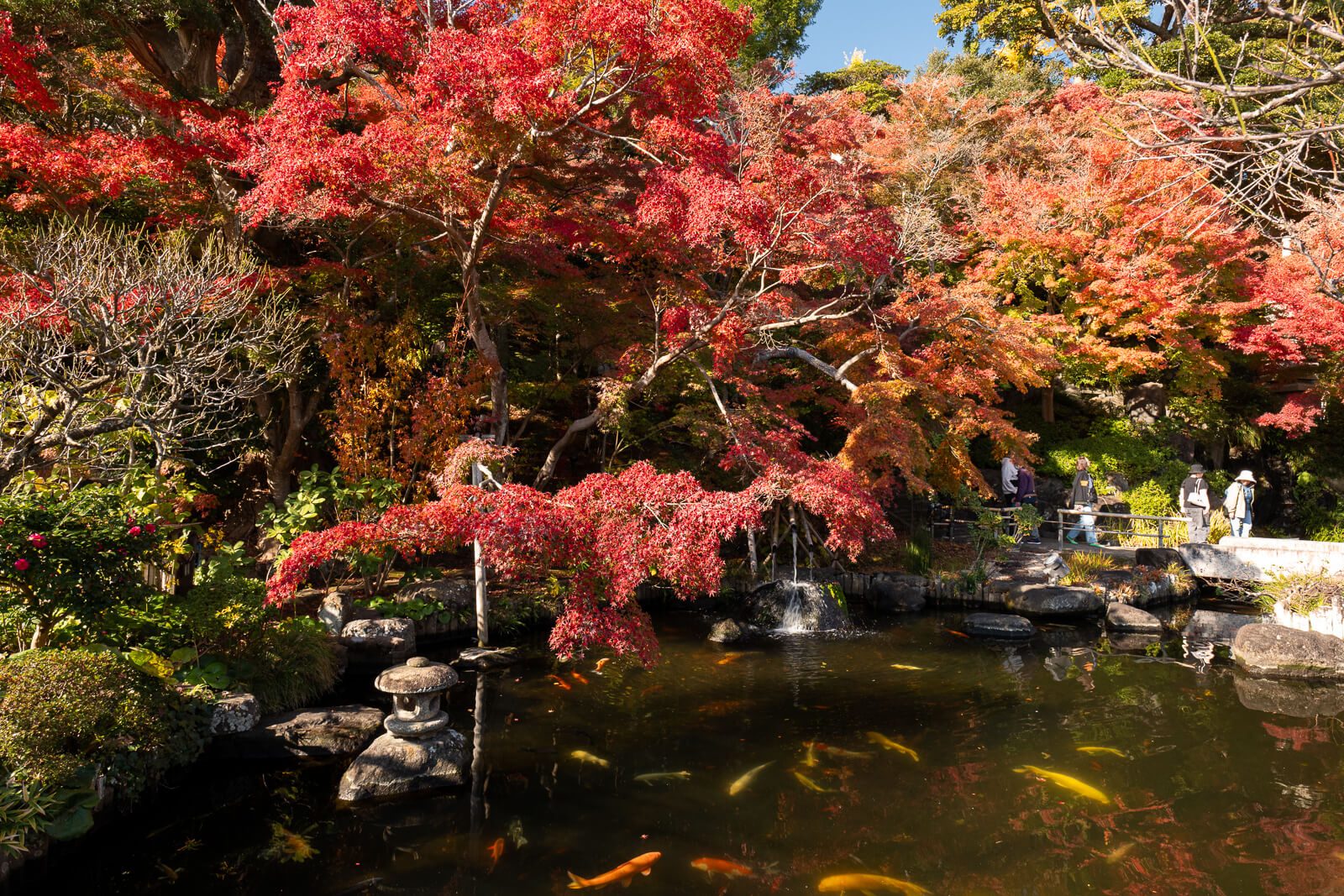 Hase-dera