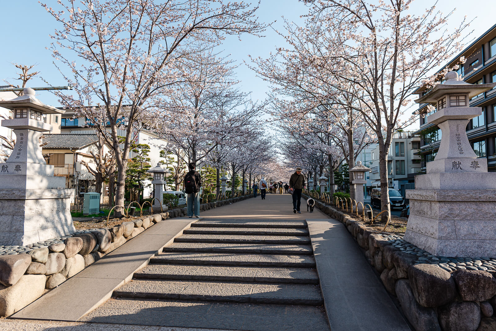 Dankazura Approach