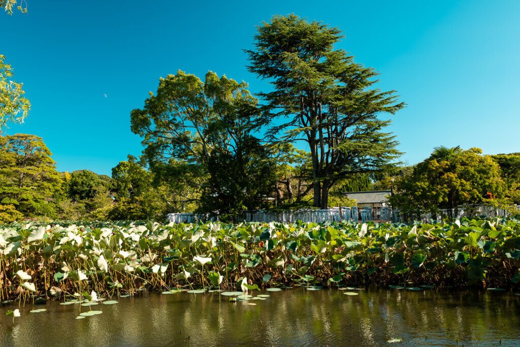 Genpei Ponds